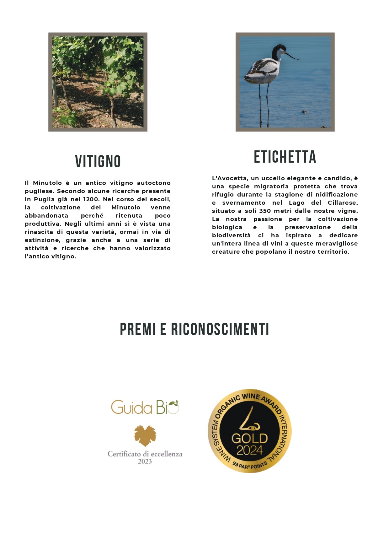 AVOCETTA - MINUTOLO SALENTO BIO IGT - 75CL - TENUTE LU SPADA