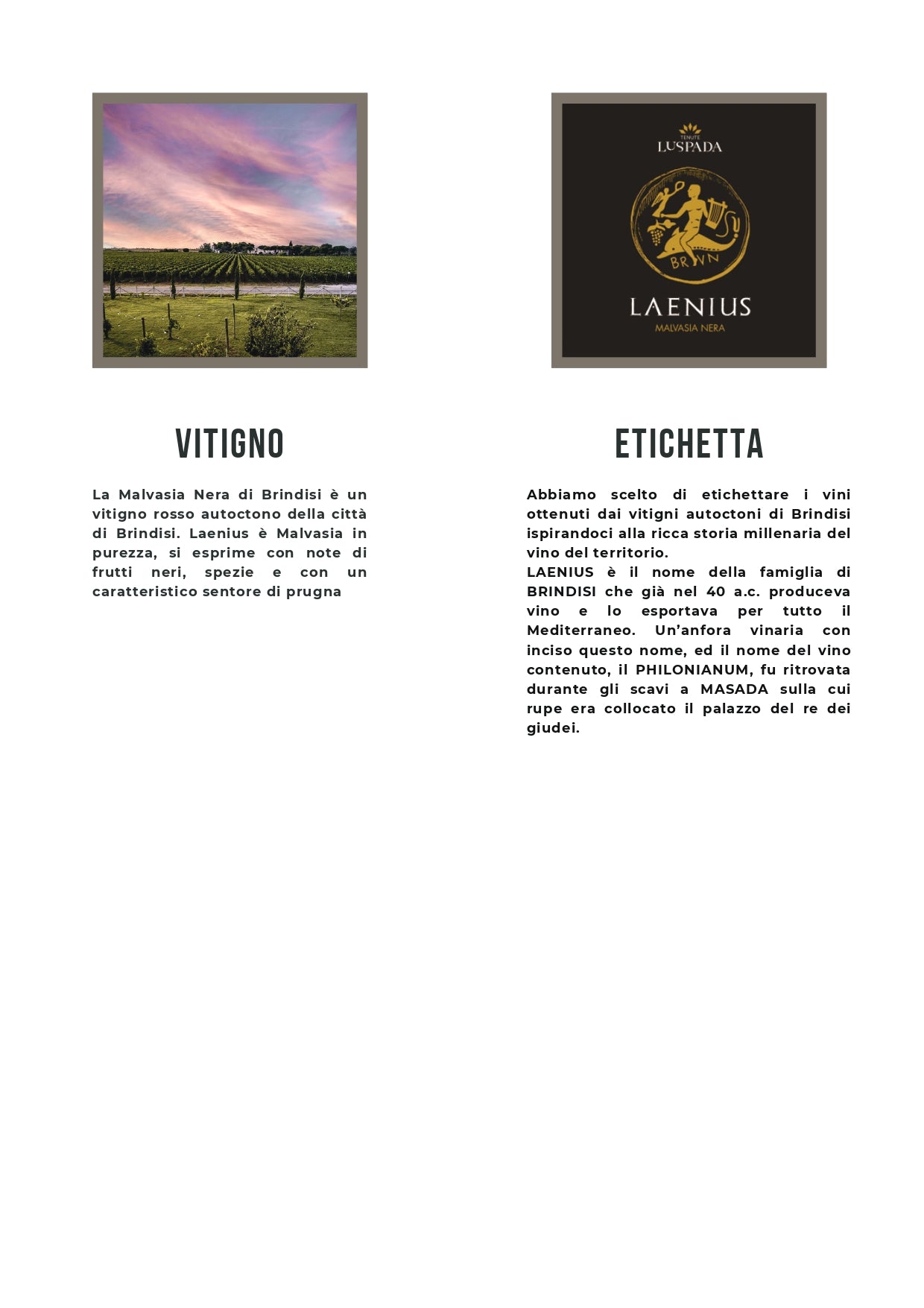 LAENIUS - MALVASIA NERO BIO IGT SALENTO - 75CL - TENUTE LU SPADA