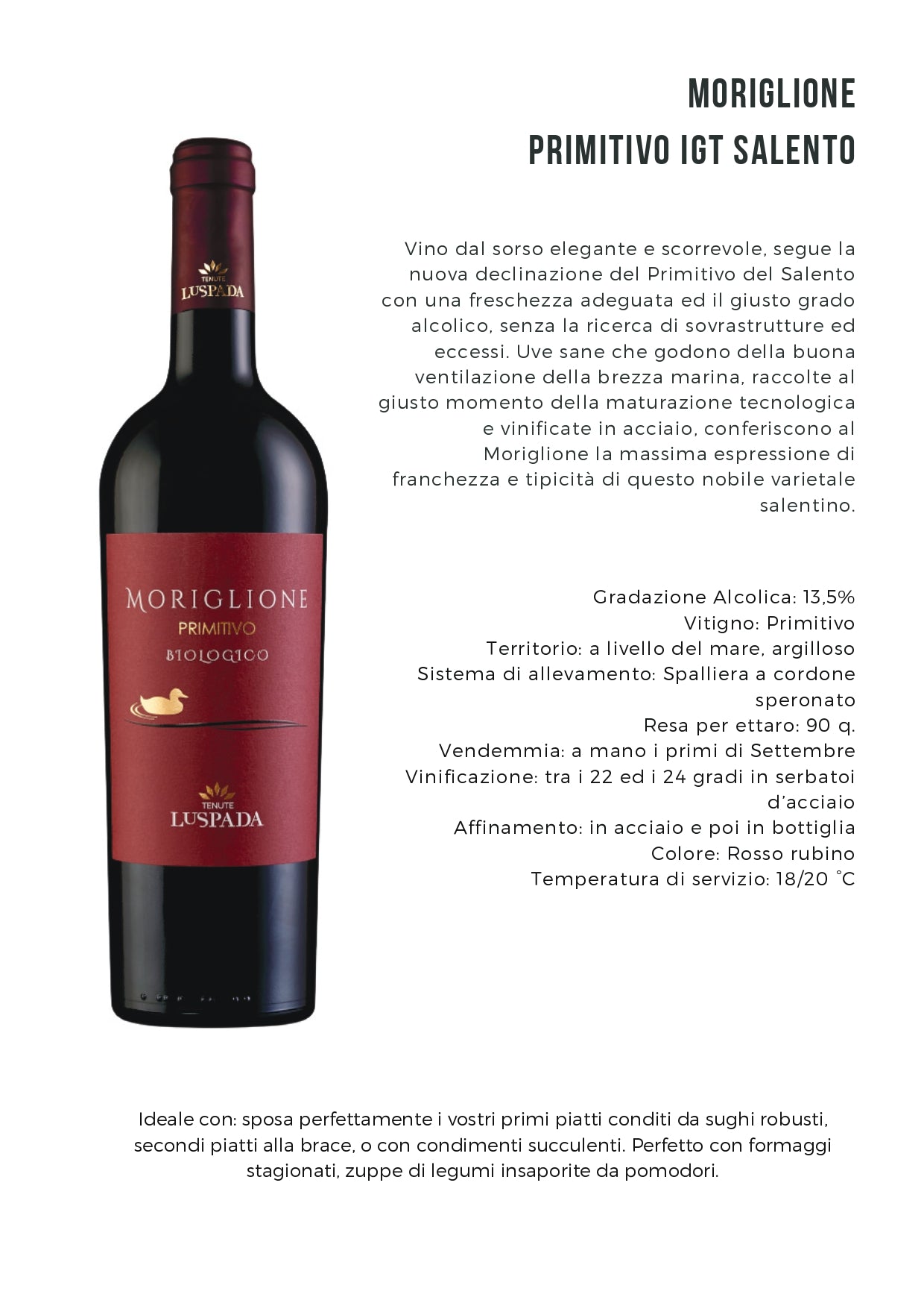 MORIGLIONE - PRIMITIVO SALENTO BIO IGT - 75CL - TENUTE LU SPADA
