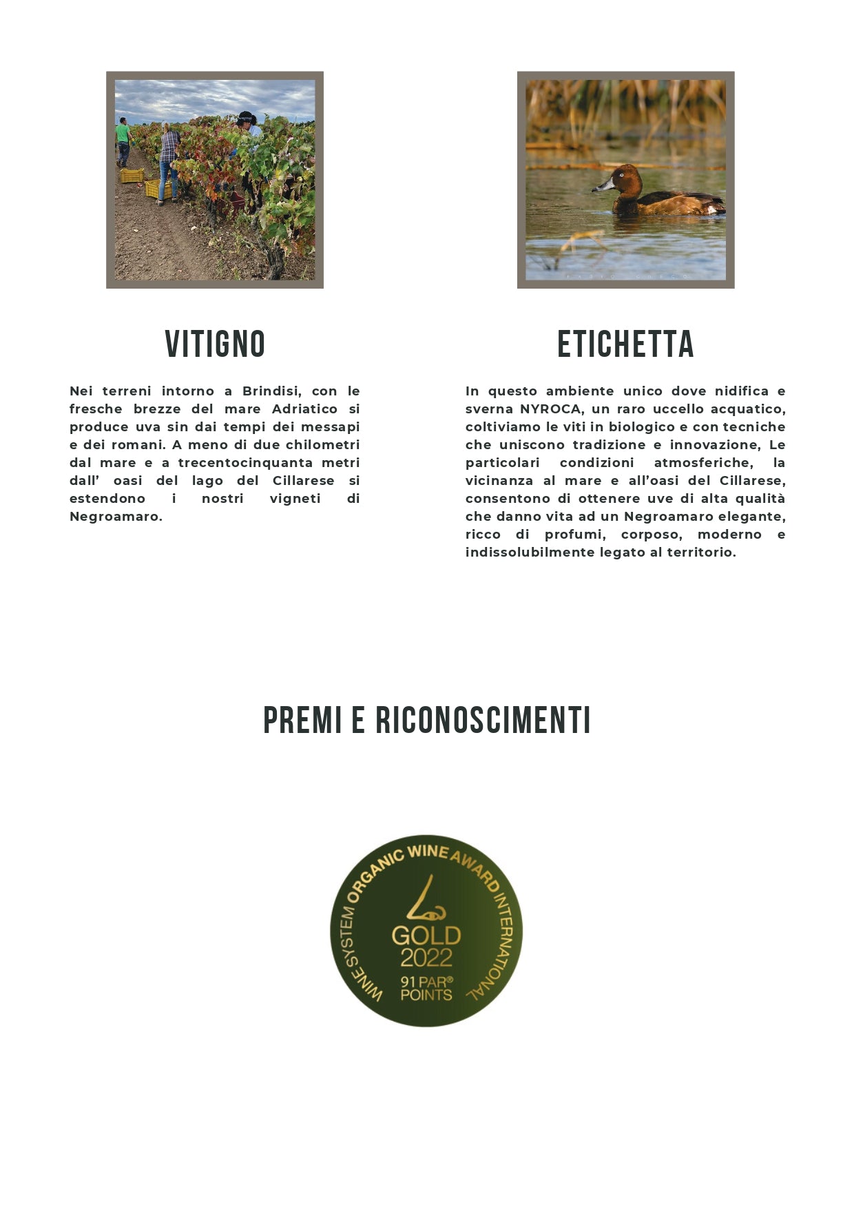 NYROCA - NEGROAMARO SALENTO BIO IGT - 75CL - TENUTE LU SPADA