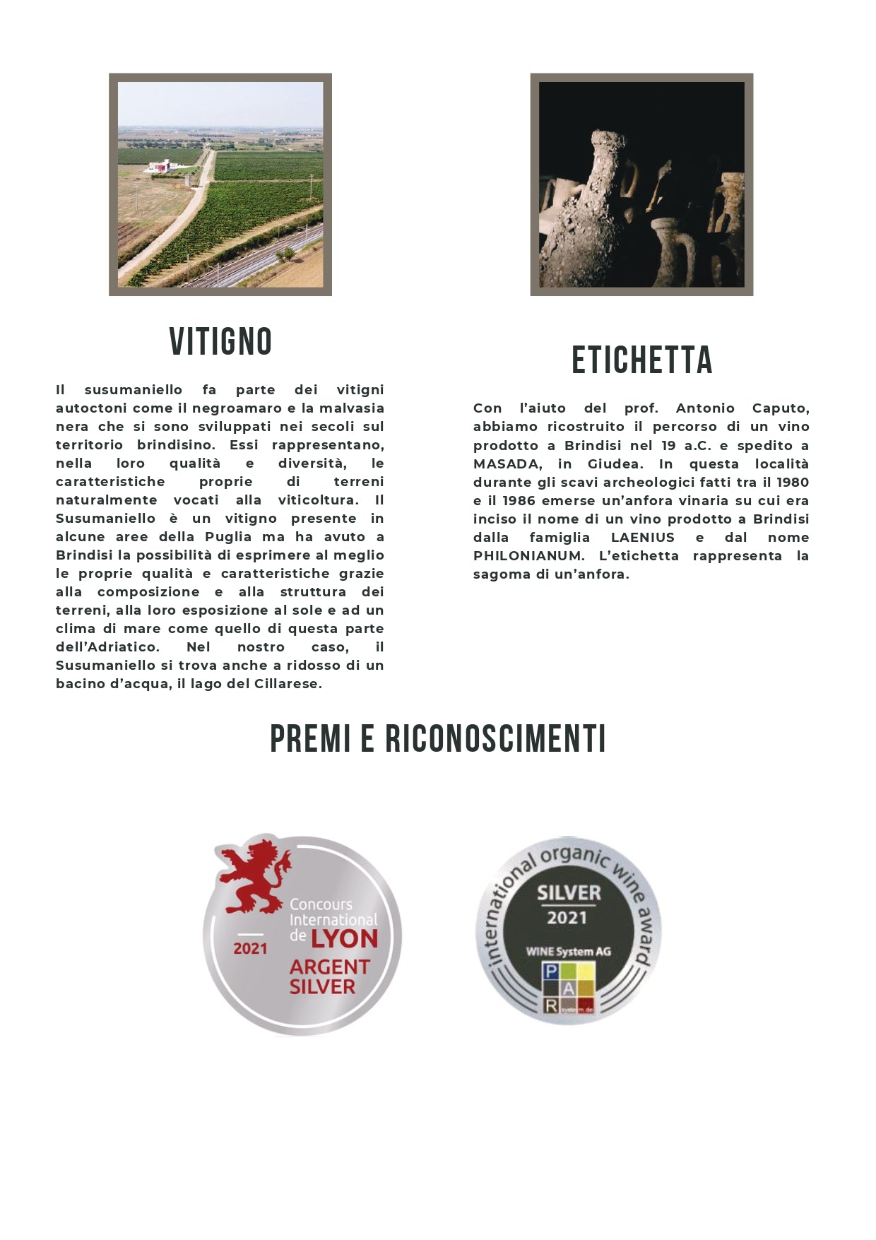 PHILONIANUM - SALENTO IGT SUSUMANIELLO BIO - 75CL - TENUTE LU SPADA