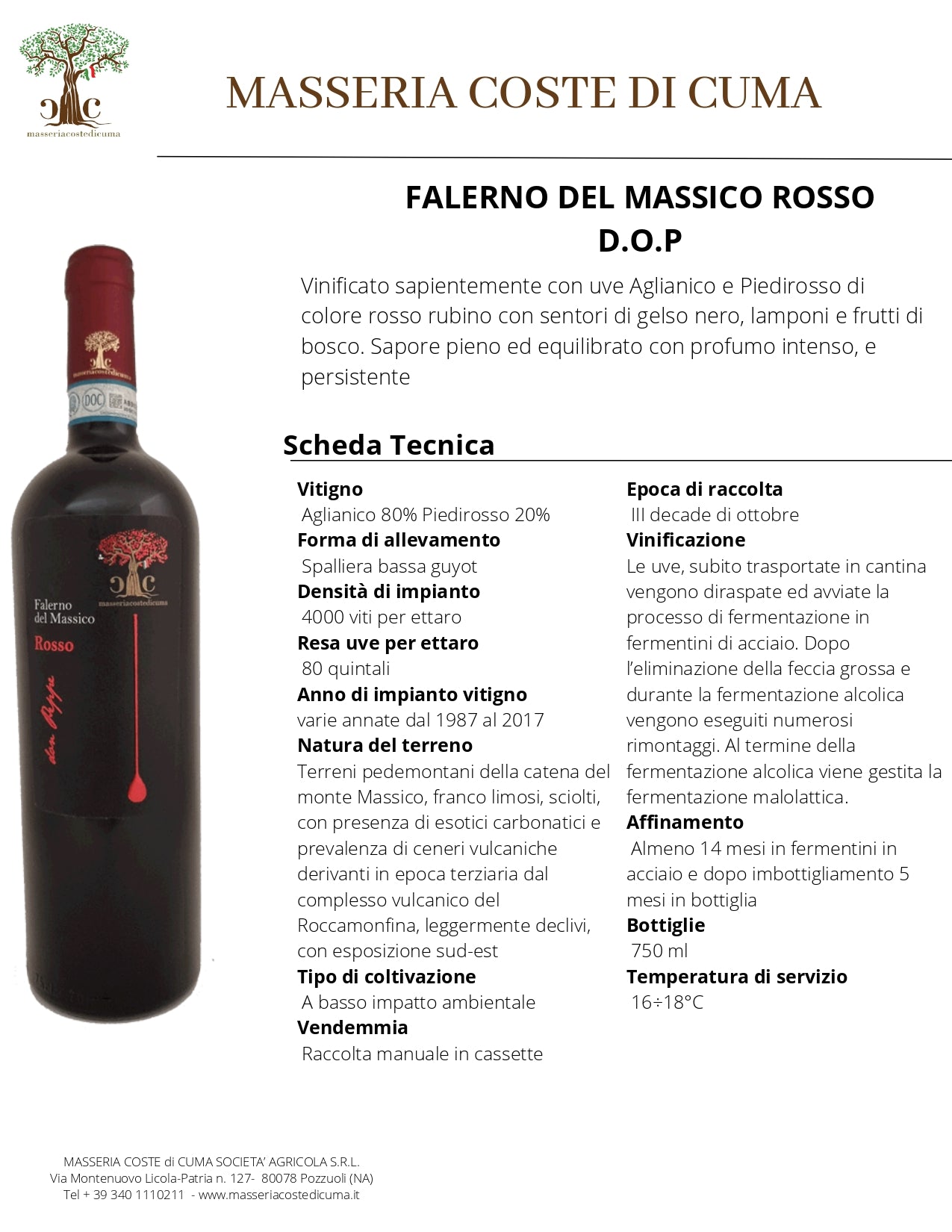 VINO ROSSO FALERNO DEL MASSICO ROSSO D.O.P - 75CL - MASSERIA COSTE DI CUMA