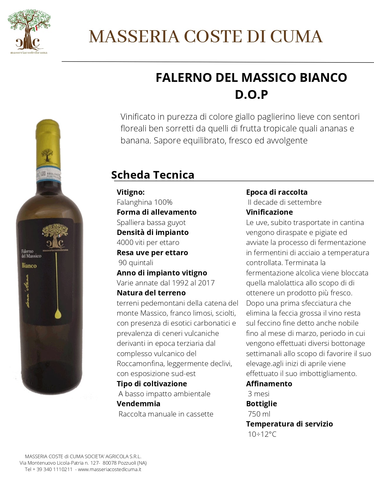 FALERNO DEL MASSICO BIANCO D.O.P - 75CL - MASSERIA COSTE DI CUMA