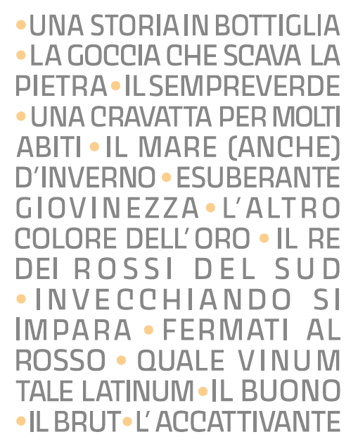 VINO SPUMANTE IRPINIA FIANO BRUT DOP - 75CL - VIGNE IRPINE