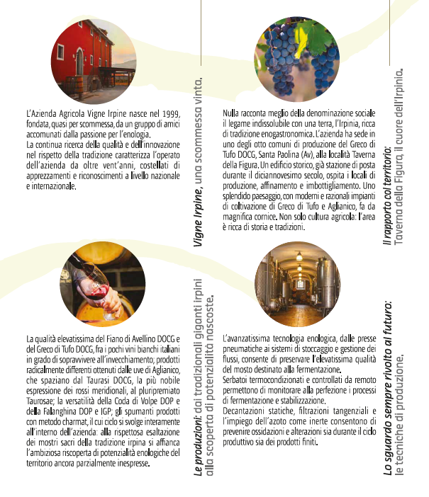 VINO SPUMANTE IRPINIA FIANO BRUT DOP - 75CL - VIGNE IRPINE