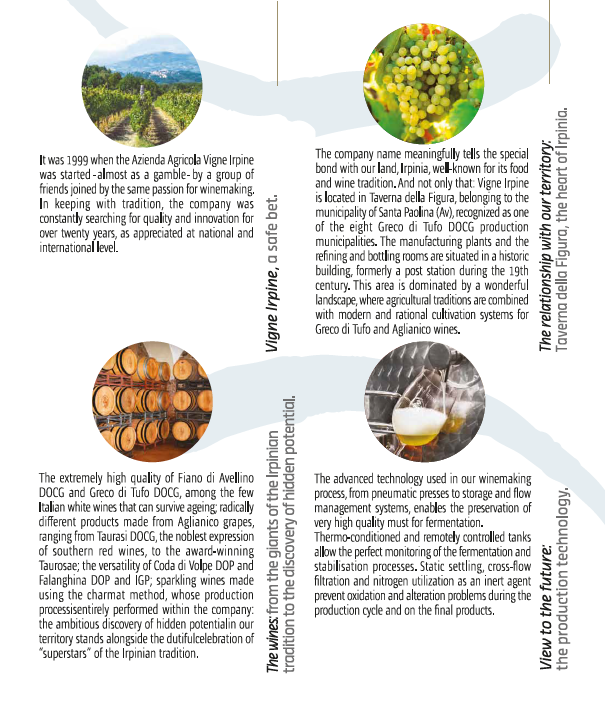 VINO SPUMANTE IRPINIA FIANO BRUT DOP - 75CL - VIGNE IRPINE