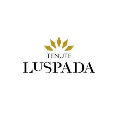AVOCETTA - MINUTOLO SALENTO BIO IGT - 75CL - TENUTE LU SPADA