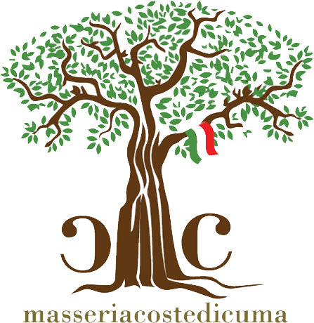 FALERNO DEL MASSICO BIANCO D.O.P - 75CL - MASSERIA COSTE DI CUMA