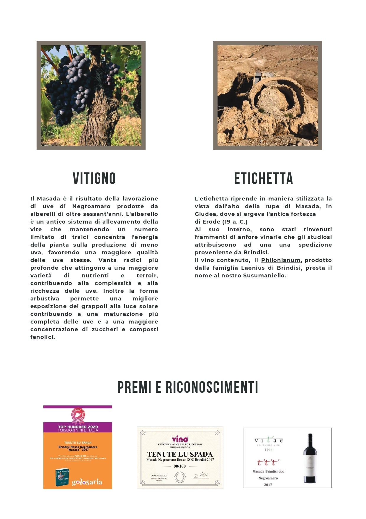 MASADA - NEGROAMARO BRINDISI DOC - 75CL - TENUTE LU SPADA