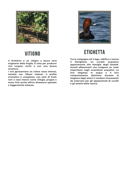 MORIGLIONE - PRIMITIVO SALENTO BIO IGT - 75CL - TENUTE LU SPADA