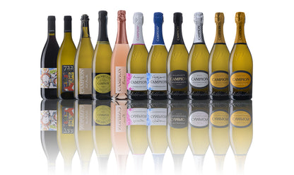 Prosecco Valdobbiadene Capogenio Extra Brut DOCG - 75CL - CAMPION