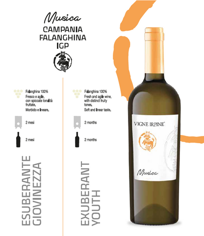 Music Campania Falanghina IGP