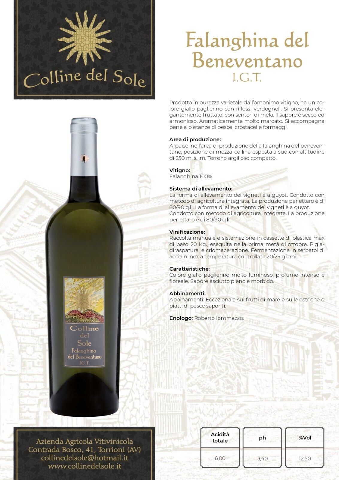 VINO BIANCO FALANGHINA DEL BENEVENTANO IGT - 75CL - COLLINE DEL SOLE