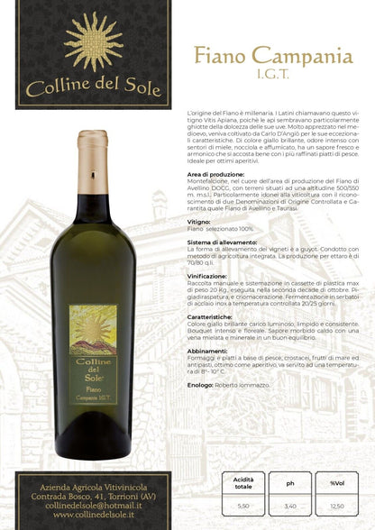 VINO BIANCO FIANO CAMPANIA IGT - 75CL - COLLINE DEL SOLE