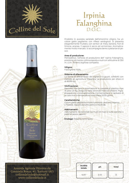 VINO BIANCO IRPINIA FALANGHINA DOC - 75CL - COLLINE DEL SOLE