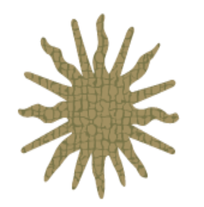 VINO SPUMANTE GRECO BRUT - 75CL - COLLINE DEL SOLE