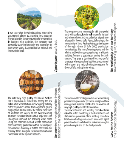 VINO BIANCO IRPINIA FALANGHINA DOP - 75CL - VIGNE IRPINE