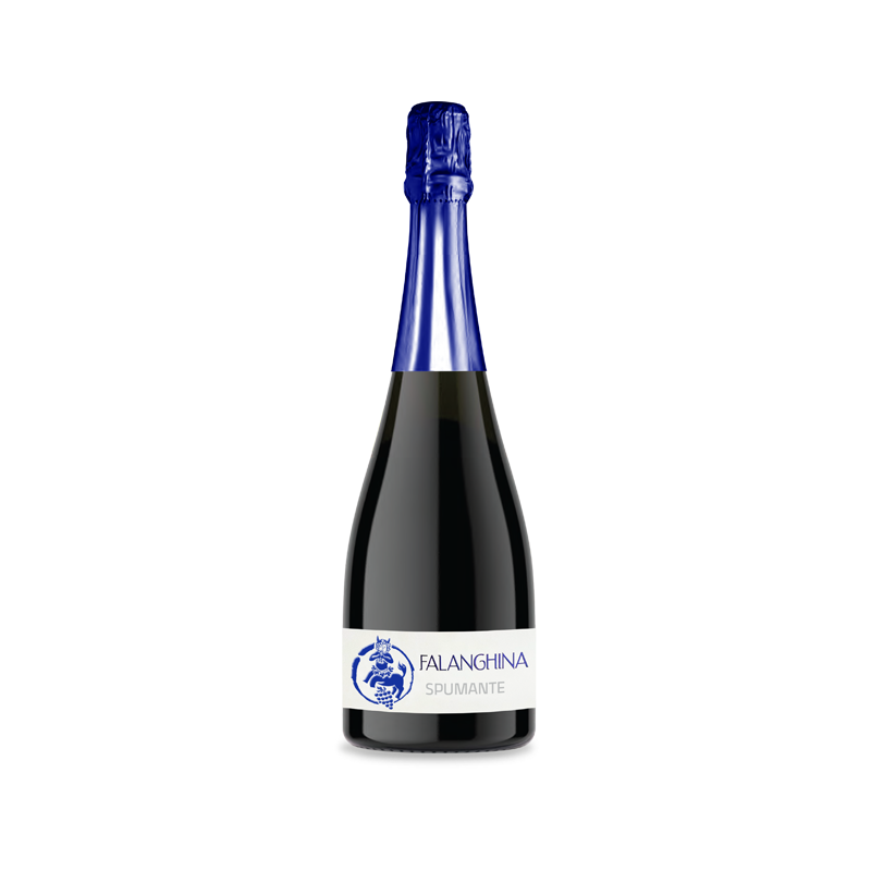 Falanghina Extra Dry Sparkling Wine